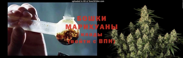 амф Арсеньев